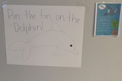 dolphin